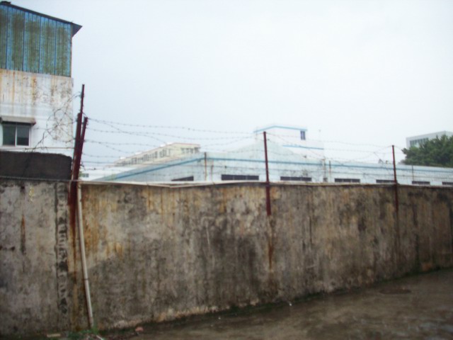 ȫ